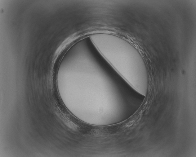 X0000083630296200702120733