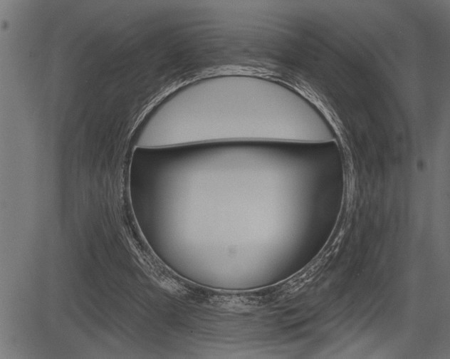 X0000083630297200702120733