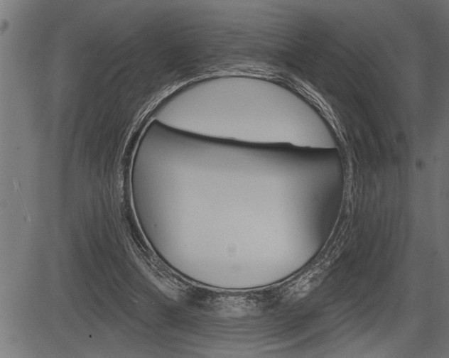 X0000083630298200702120733