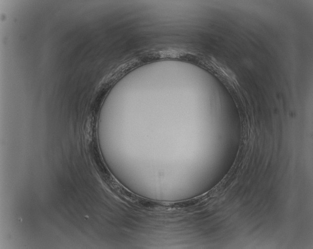 X0000083630311200702120733