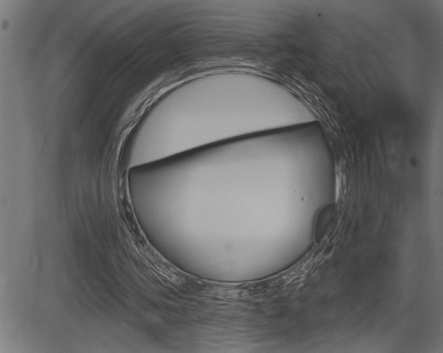 X0000083630339200702120732