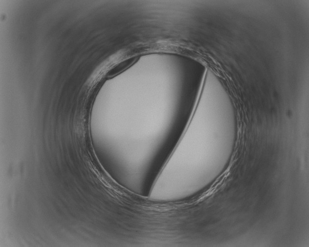 X0000083630341200702120732