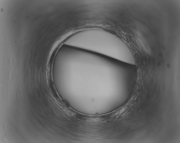 X0000083630342200702120732