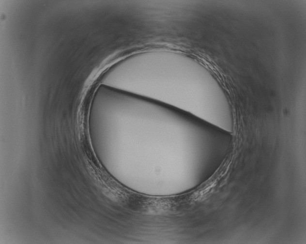 X0000083630343200702120732