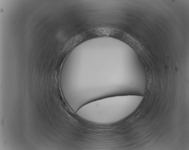 X0000083630414200702120731