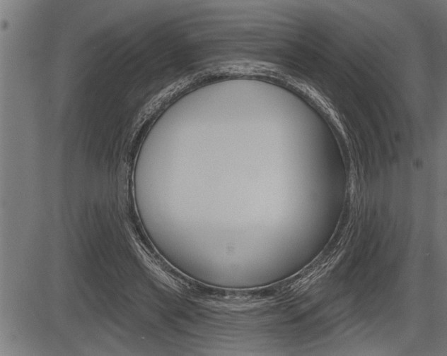 X0000083630445200702120730