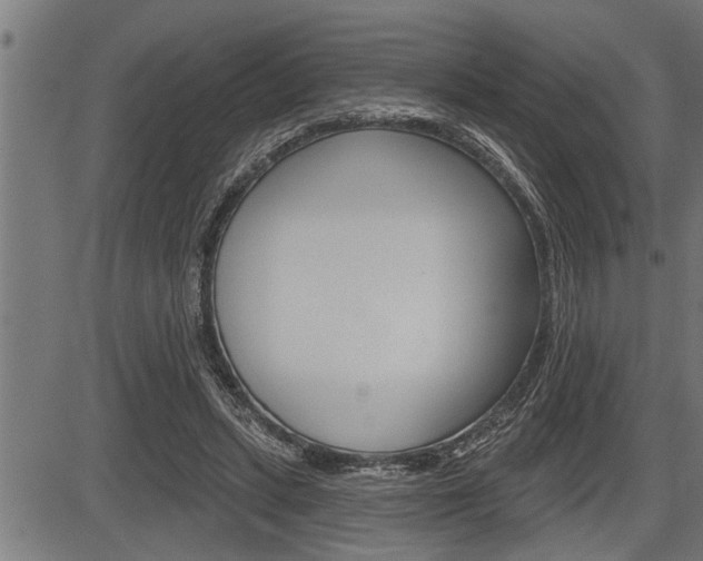 X0000083630447200702120730