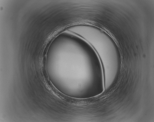 X0000083630485200702120730