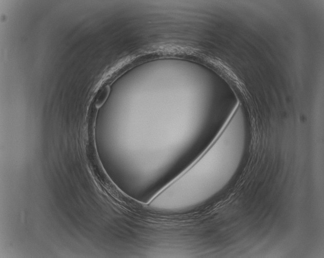 X0000083630488200702120730