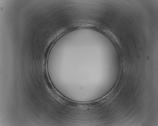 X0000083630490200702120730