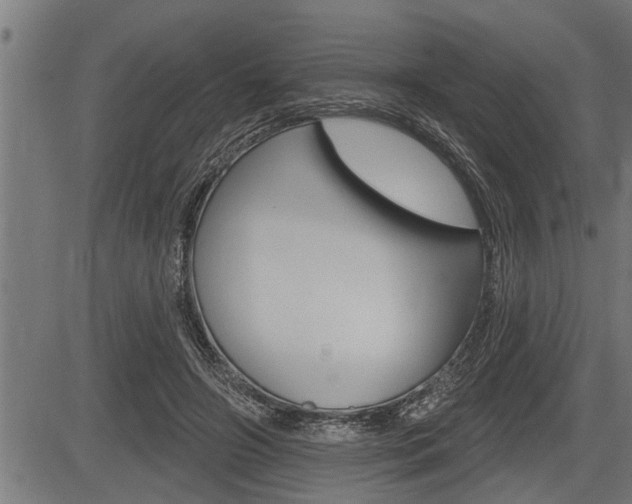 X0000083630498200702120730