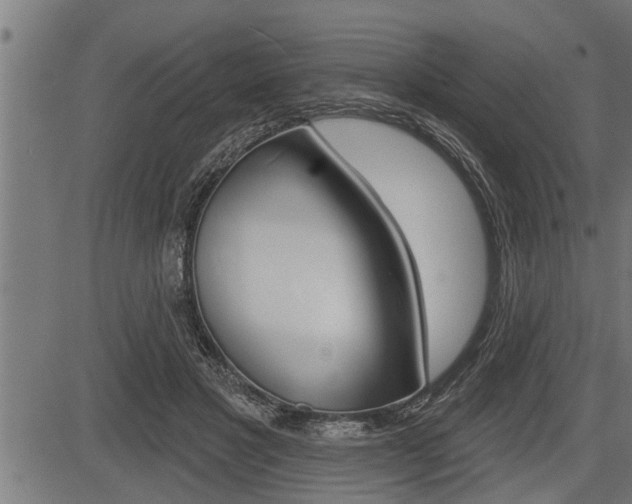 X0000083630501200702120730