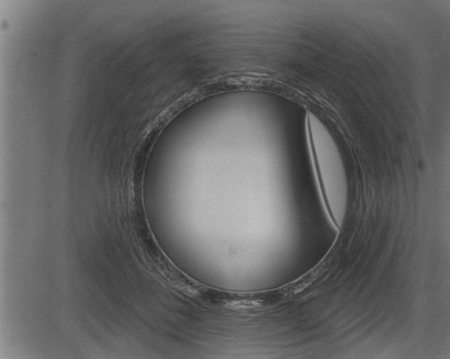 X0000083630508200702120730
