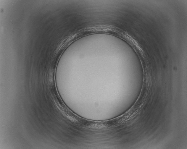 X0000083630537200702120729