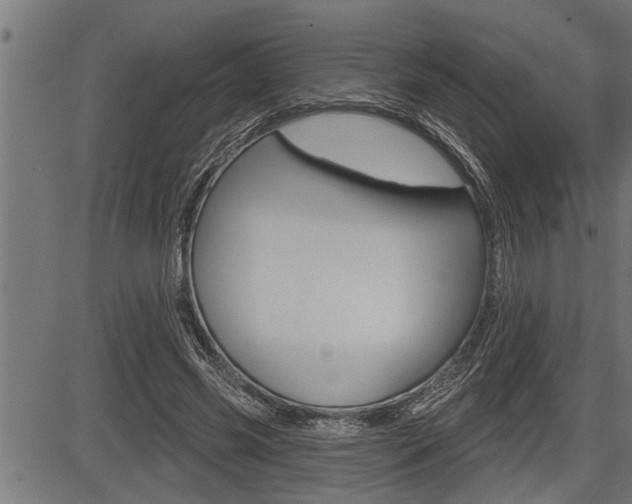 X0000083630541200702120729