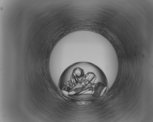 X0000083630558200702120729