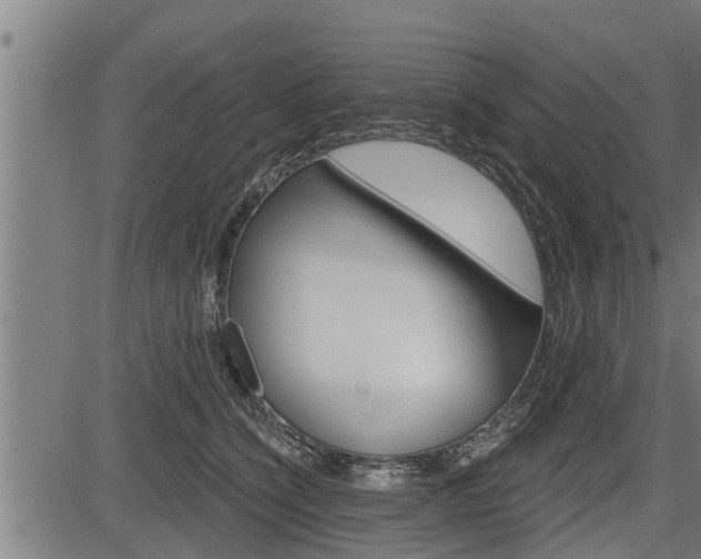 X0000083630564200702120729
