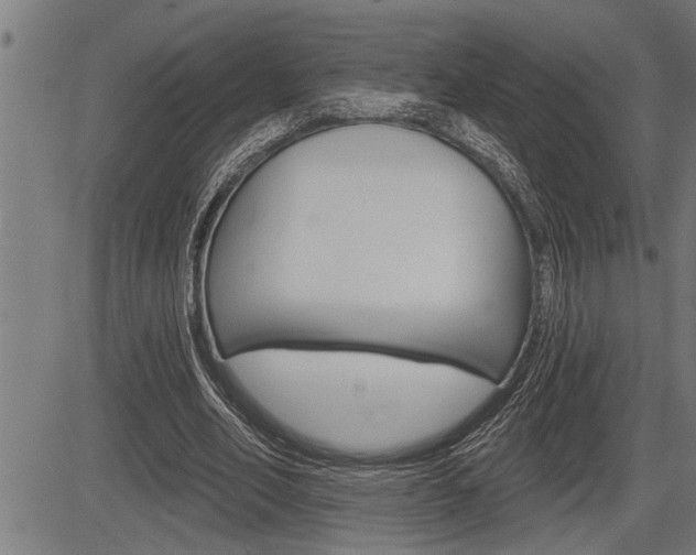 X0000083630582200702120728