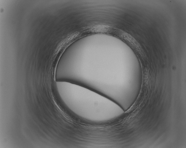 X0000083630586200702120728