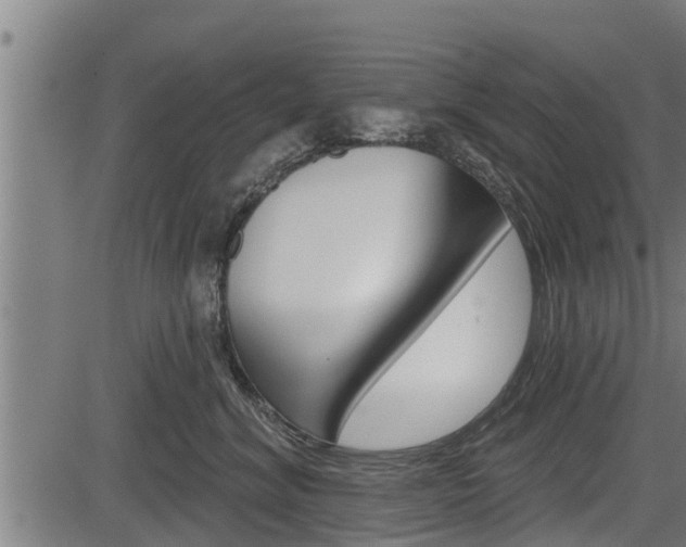 X0000083630620200702120728
