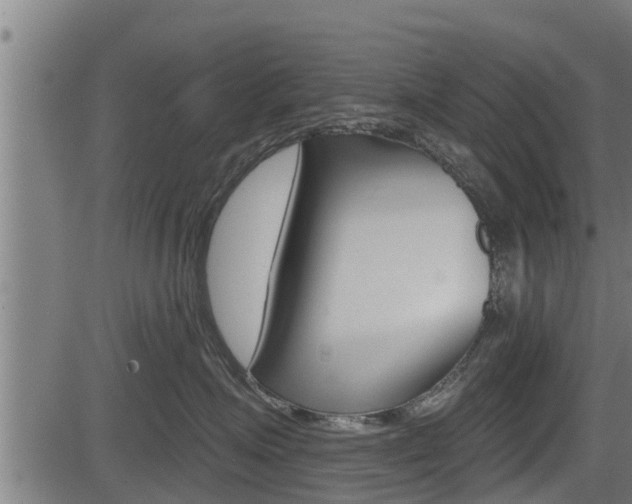 X0000083630623200702120728