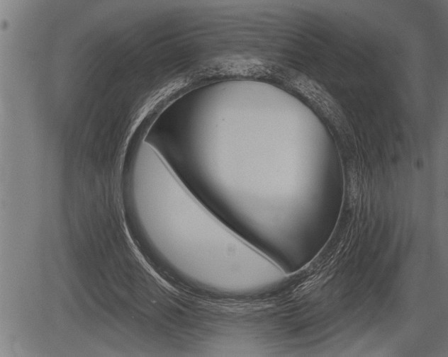 X0000083630630200702120727