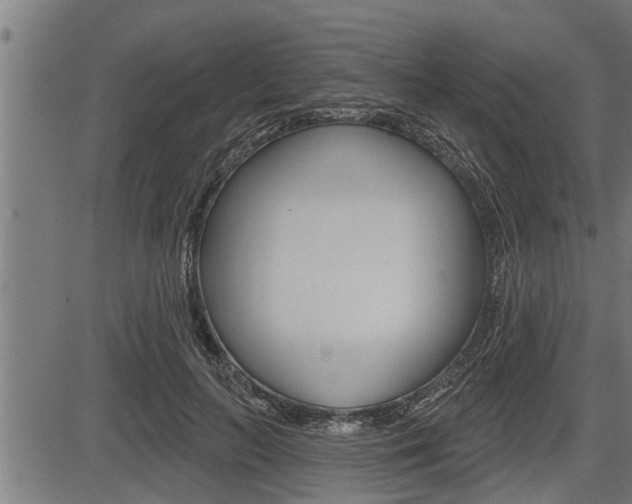 X0000083630647200702120727
