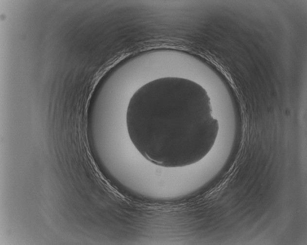 X0000083630721200702120725