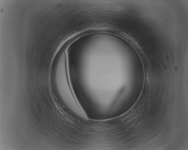 X0000083630724200702120725