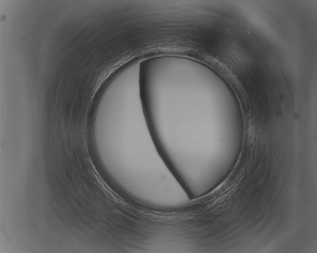 X0000083630725200702120725