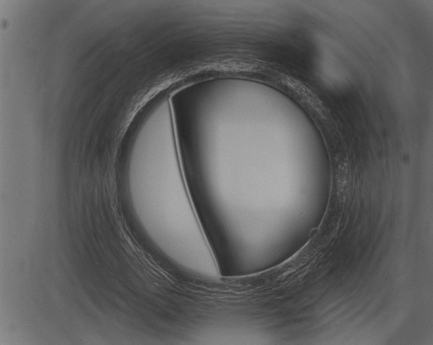 X0000083630727200702120726