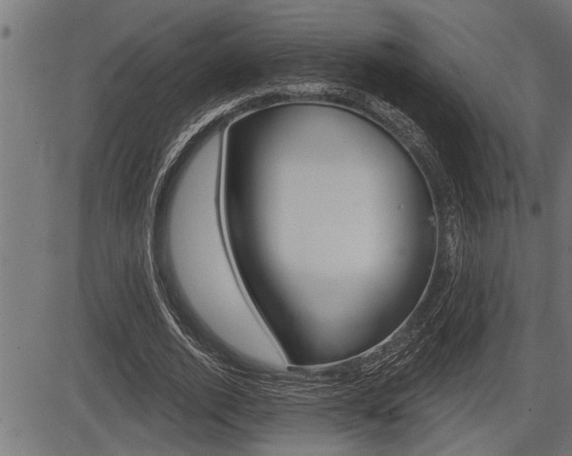 X0000083630728200702120726