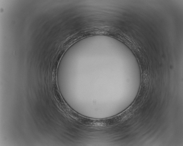 X0000083630741200702120726