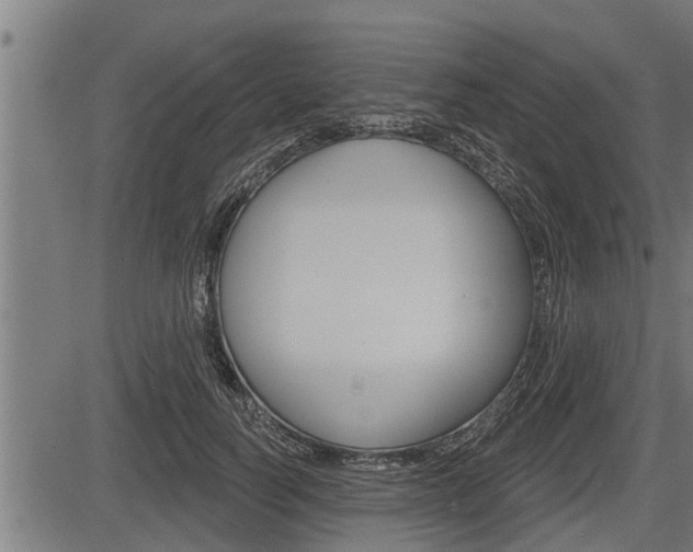 X0000083630746200702120726