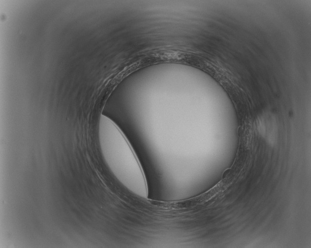X0000083630747200702120726