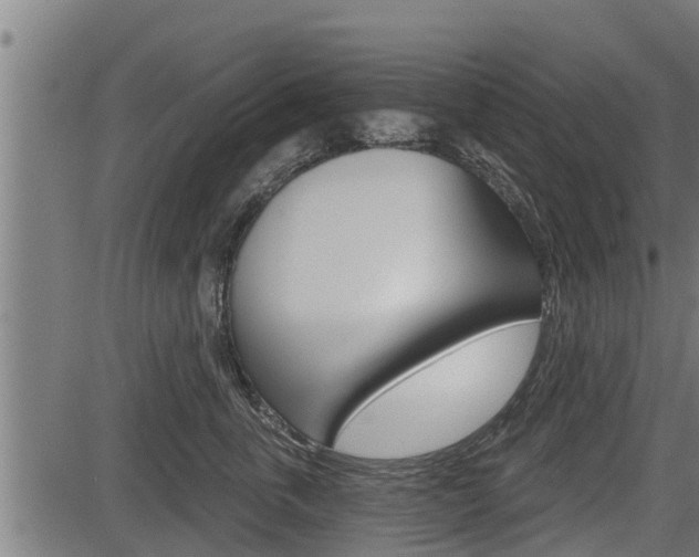 X0000083630763200702120726