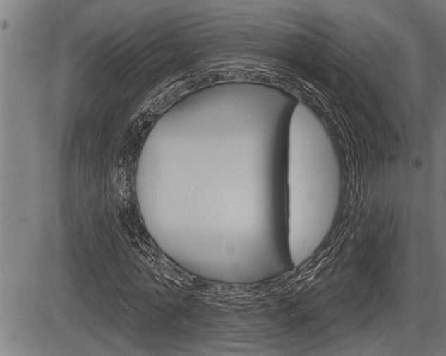 X0000083630774200702120725