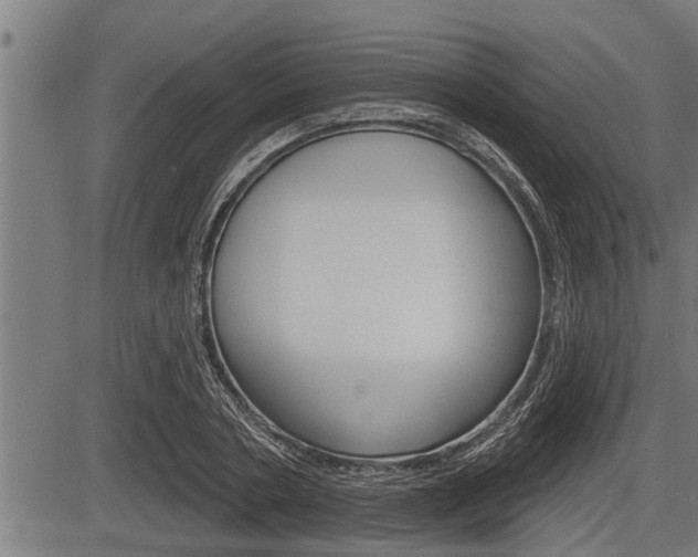 X0000083630786200702120725