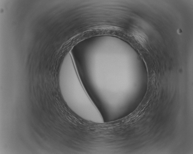 X0000083630821200702120724