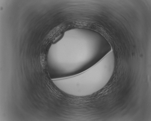 X0000083630867200702120724