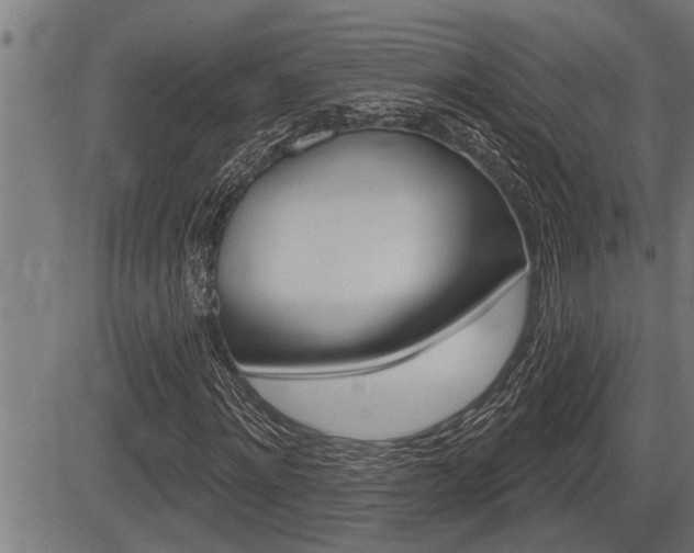 X0000083630868200702120724