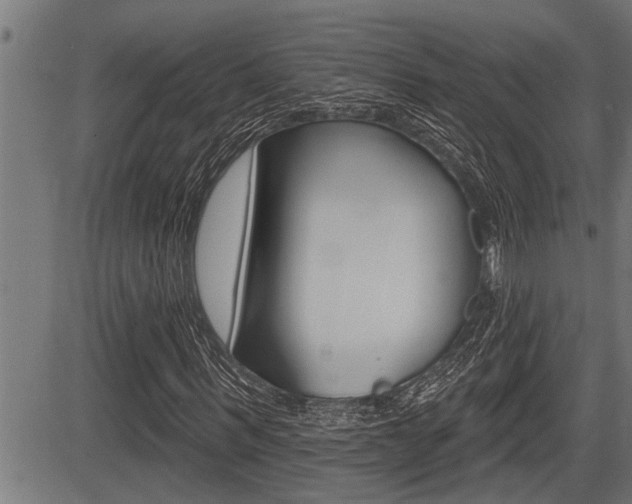 X0000083630963200702120722
