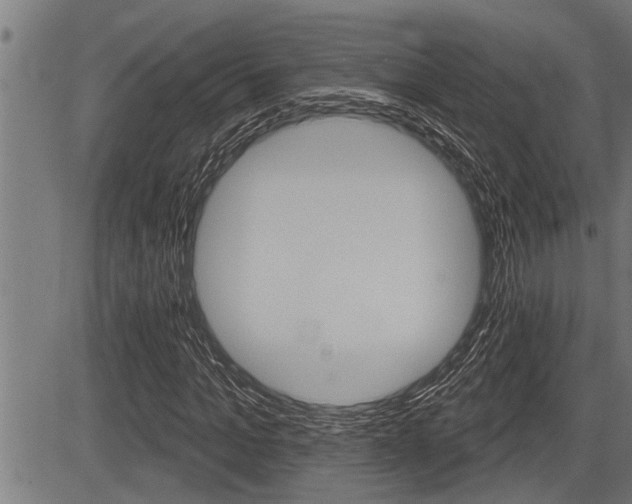 X0000083630965200702120722