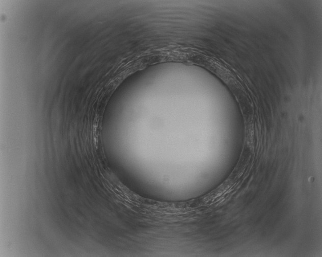 X0000083631010200702120721