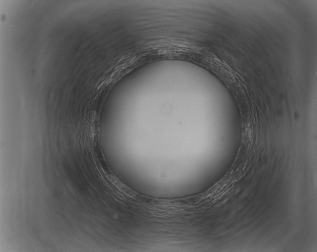 X0000083631012200702120721