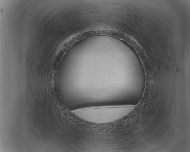 X0000083631016200702120721