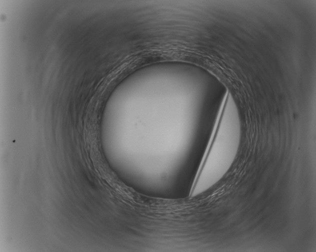 X0000083631057200702120721