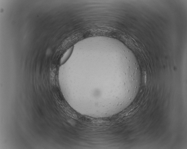 X0000083631059200702120721