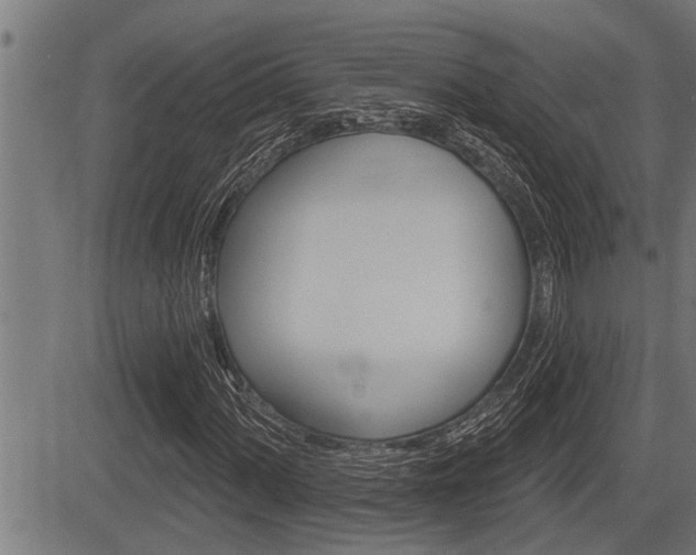 X0000083631060200702120721
