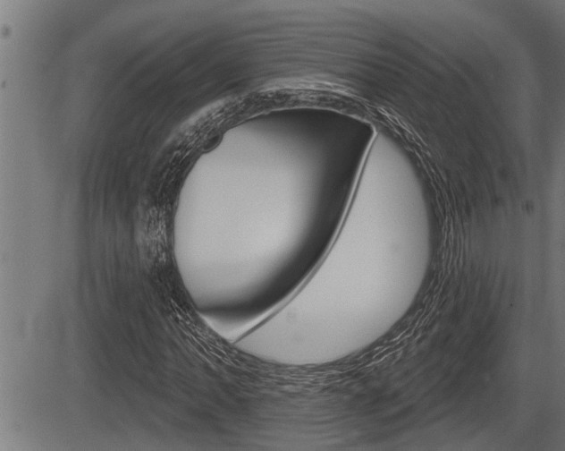 X0000083631062200702120721